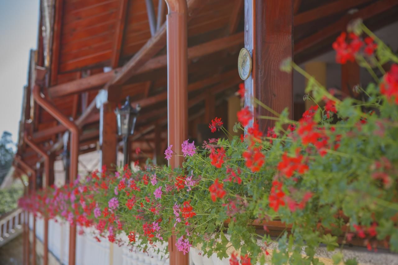 Отель Complex Turistic Casa Romaneasca Кэлимэнешти-46